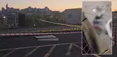 Bayrampaşa'da iki arkadaşın öldüğü feci olayda kahreden detay