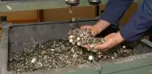 Piyasada bozuk para fırsatçılığı