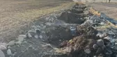 Tunceli'de belediyenin diktiği dut fidanları çalındı