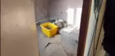 Beykoz'da Kaçak Vahşi Hayvan Operasyonu