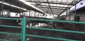 Aydın Süt Birliği Başkanı, Süt Fiyatının Yüksek Olması Gerektiğini Açıkladı