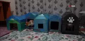 Gümüşhane'de Öğrenciler Engelli Kedilere Kedi Evi Yaptı