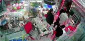 İzmir'de Hırsızlık Olayı: Cins Kedi Montuyla Çalındı