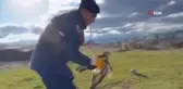 Yaralı Kızılşahin Jandarma Tarafından Koruma Altına Alındı