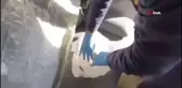 Samsun'da Uyuşturucu ve Silah Operasyonu