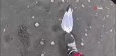 Yaralı Martıyı Motosikletiyle Kurtaran Adam