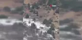 Gümüşhane'de İki Ayının Eğlenceli Güreşi Kameralara Yansıdı