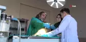 Yaralı Asya Yaban Kedisi Van'da Tedavi Edildi