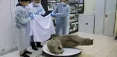 Sibirya'da 50 bin yıllık bebek mamut bulundu