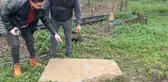 Tarla sürerken çiftçinin pulluğuna lahit takıldı
