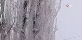 Erzurum Tekman'da Sibirya Soğukları: Eksi 24.9 Derece