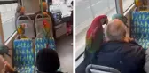 Görenler dönüp bir kez daha baktı! İETT otobüsünde sıra dışı görüntü