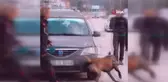Isparta'nın Narkotik Kahramanı Milon Üçüncü Defa 'Ayın Köpeği' Seçildi