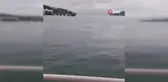 Büyükada Kıyılarında Müsilaj Görüldü