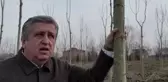 Kokarca İstilası Üreticiyi Zor Durumda Bıraktı