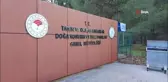 Barınaktan Kaçan Ayıyı Yakalama Çalışmaları Devam Ediyor