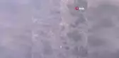 Domuzların Saldırdığı Çobanı Köpekleri Kurtardı