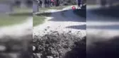 Kanalizasyon Borusunda Mahsur Kalan Buzağı Kurtarıldı