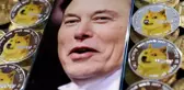 Elon Musk DOGE'de tek başkan olarak görev yapacak