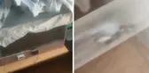 Oturduğu sitede bal üretimi yapan adam viral oldu