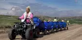 Sokak hayvanlarının üzerinden götürdükleri para öyle böyle değil