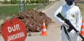 Elazığ'da üç ilçede şap karantinası başlatıldı