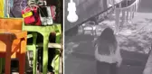 Sandalyede ölü bulunan manava saldırı anı kamerada! Genç kız cinayetin nedenini böyle açıkladı