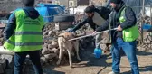 Kuduz köpek 3 kişiyi ısırdı, bölge karantinaya alındı