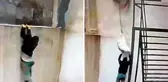 Tuvalet penceresini kırıp girdikleri iş yerinde ne var ne yok çaldılar