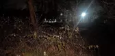 Arnavutköy'de ağaçlık alanda erkek cesedi bulundu