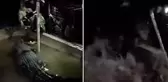 Timsah, kendisine yem veren yaşlı adama saldırdı