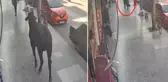 Firari angus kaldırımda yürüyen vatandaşı yaraladı