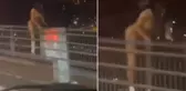 Yer: İstanbul! Köprüde çırılçıplak intihar girişimi