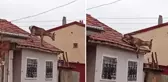 Görüntü Türkiye'den! Çatıya çıkan kızıl geyiğin acı sonu
