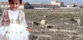 Rana'nın başıboş köpek saldırında ölmesine ilişkin 2 müfettiş Konya'da