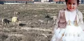 Köpek saldırısında can vermişti! Rana bebeğin ailesinin avukatından skandal iddiaya yalanlama