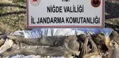 Niğde'de Orta Çağ dönemine ait mumya satmaya çalışan 6 kişi yakalandı