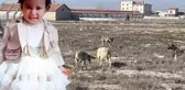 Köpek saldırısında ölen Rana'nın Adli Tıp raporu çıktı