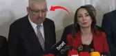 Tülay Hatimoğulları 