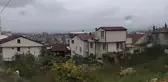Konya'nın ardından Yalova'da da köpek saldırısı! Valilik'ten açıklama geldi