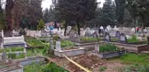 Mezarlıkta akıl almaz olay! 4 kişi hastanelik oldu