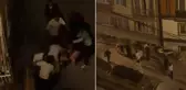 Sokakta kadını evire çevire dövdü, mahalleli 'Vur hak etti' diye destek verdi