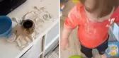 1 yaşındaki oğlu babasının küllerini yedi, anne şoke oldu