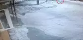 Ayı saldırısına uğrayan kadından geriye sadece kafası kaldı