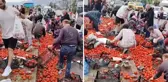 Görüntü Türkiye'den! Domates yüklü tır devrildi, vatandaşlar olay yerine akın etti