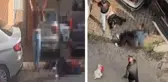 Esenler'de sokak ortasında eşini katleden erkek, tehditler savurup kendine zarar verdi