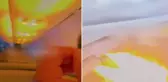 Motora tavşan girdi, uçak iniş yaptı