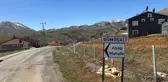 Kayseri'deki başıboş sokak köpeği vahşetinde 2 tutuklama