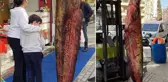 Dükkanın önüne asılan 3 metrelik balığı görenler telefona sarıldı