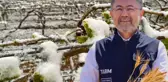 Zirai don hangi ürünleri vurdu? Bakan Yumaklı 